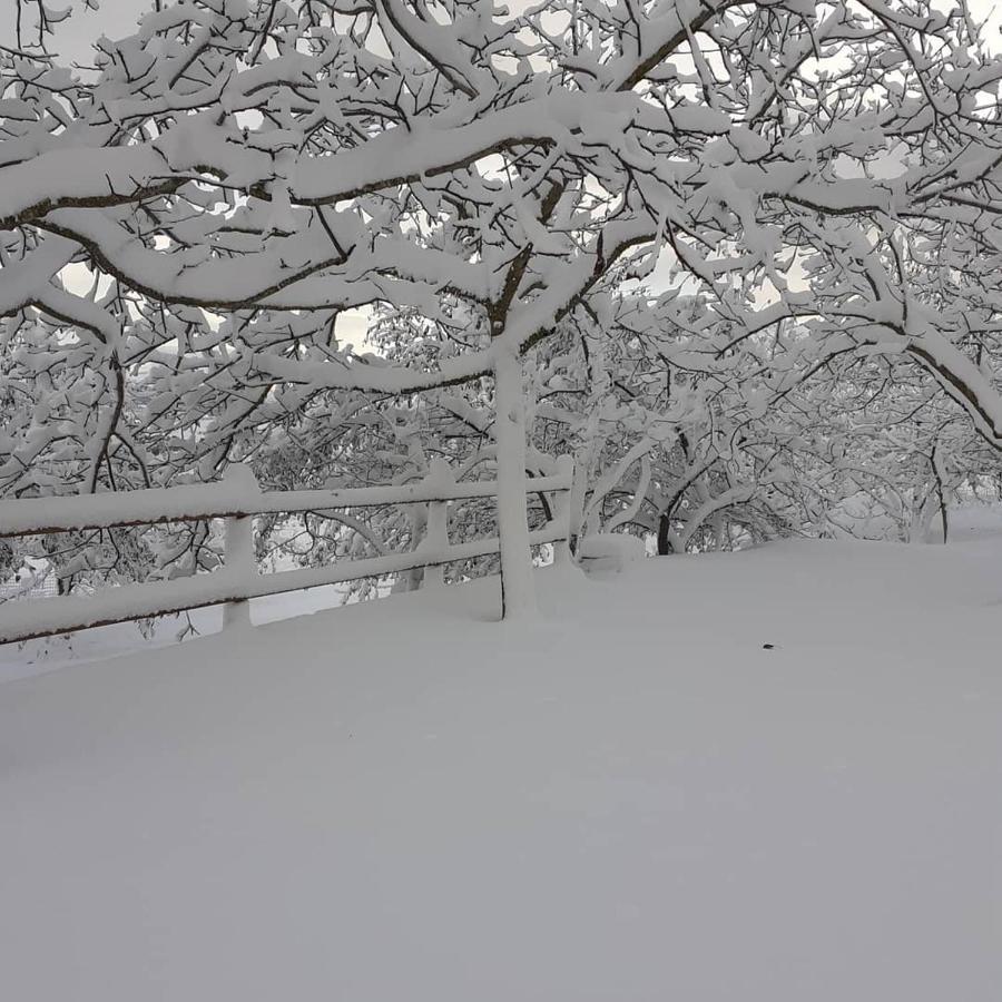 Agriturismo S'Armidda Villa Seùlo Esterno foto